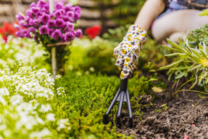 Spring gardening